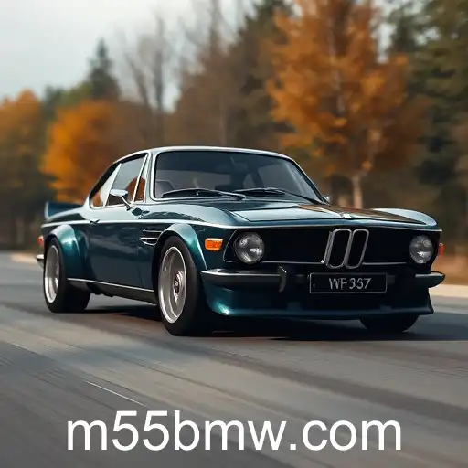 Exploring Community Forums: A Digital Hub for Gamers with '55bmw'